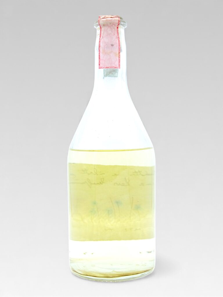 GRAPPA ROMANO LEVI DEICE FIORI - View 2 | Rotamagus Wines